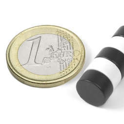 S-10-05-E, Scheibenmagnet Ø 10 mm, Höhe 5 mm, Neodym, N42, Epoxidharz-beschichtet